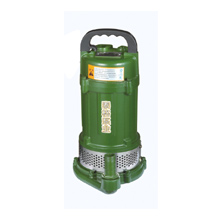 QDX 小型潜水电泵（铁壳）